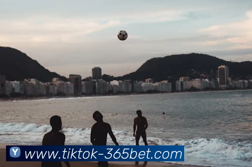 App Interface Preview